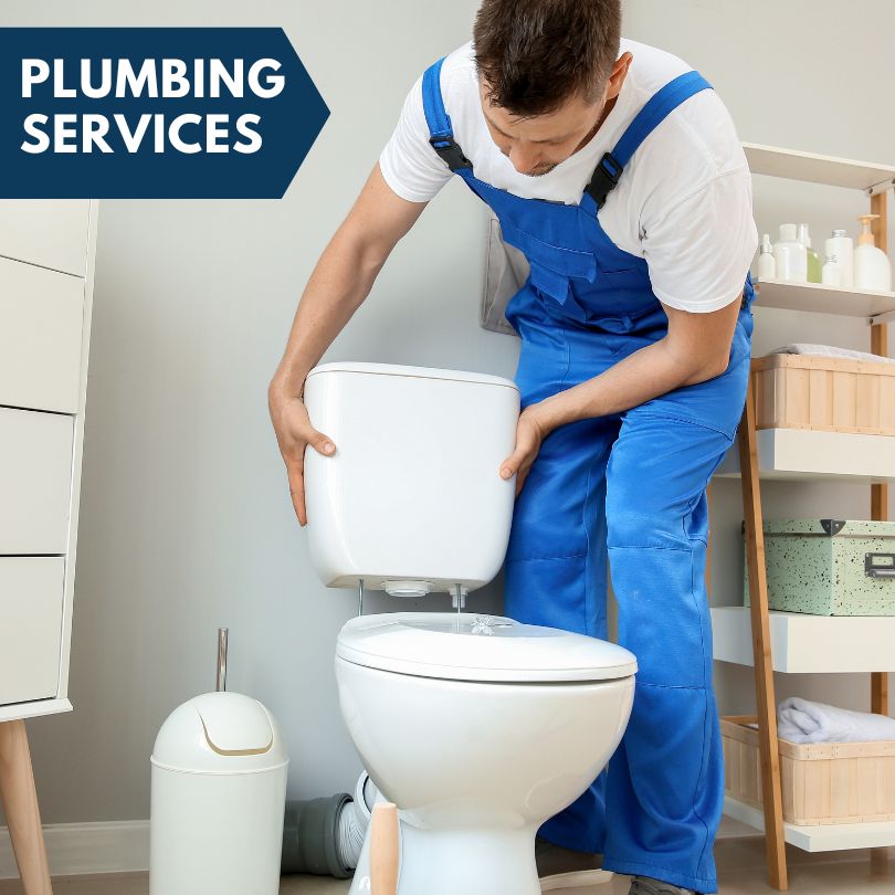 Plumbing Company in Rochert, MN